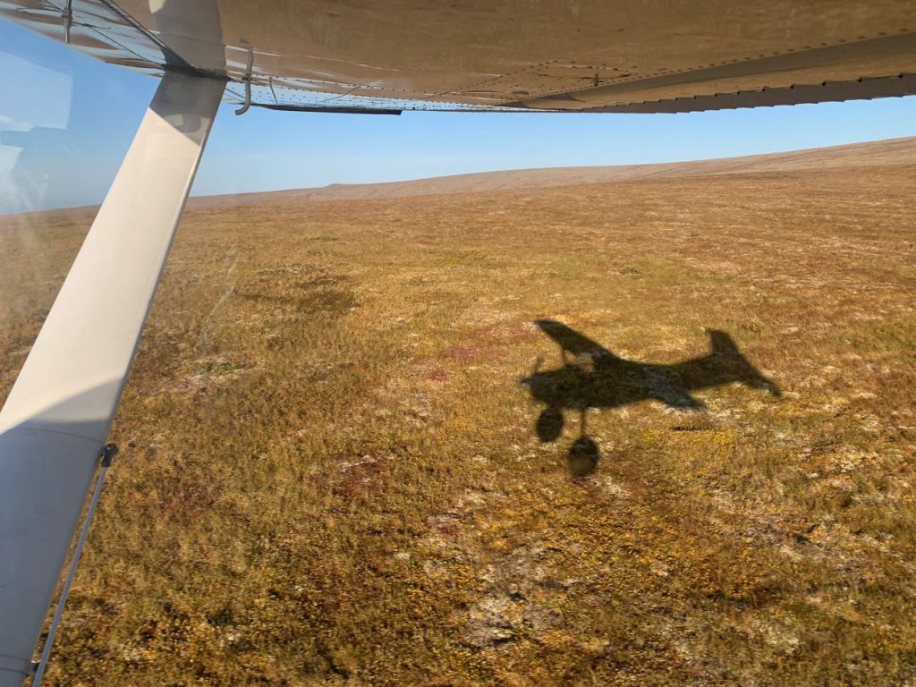 Cessna 185